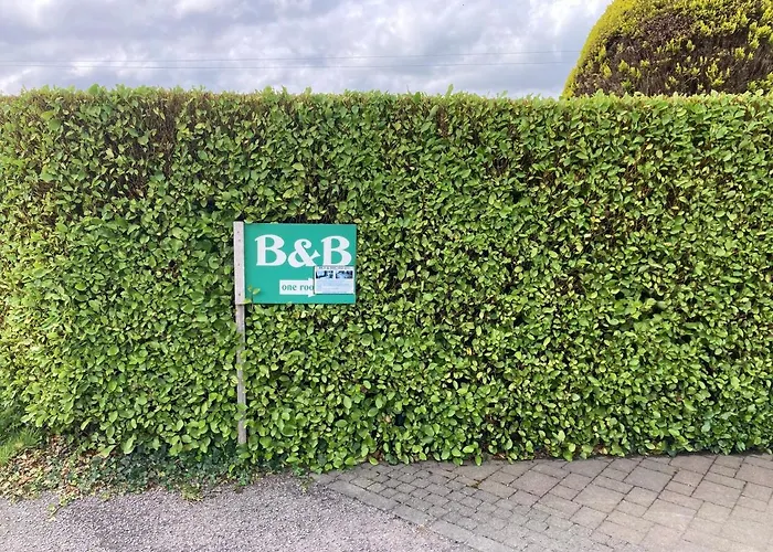 Bantry Bay Haven Pensjonat Ballylickey